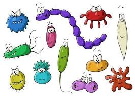 Bệnh Ký sinh trùng