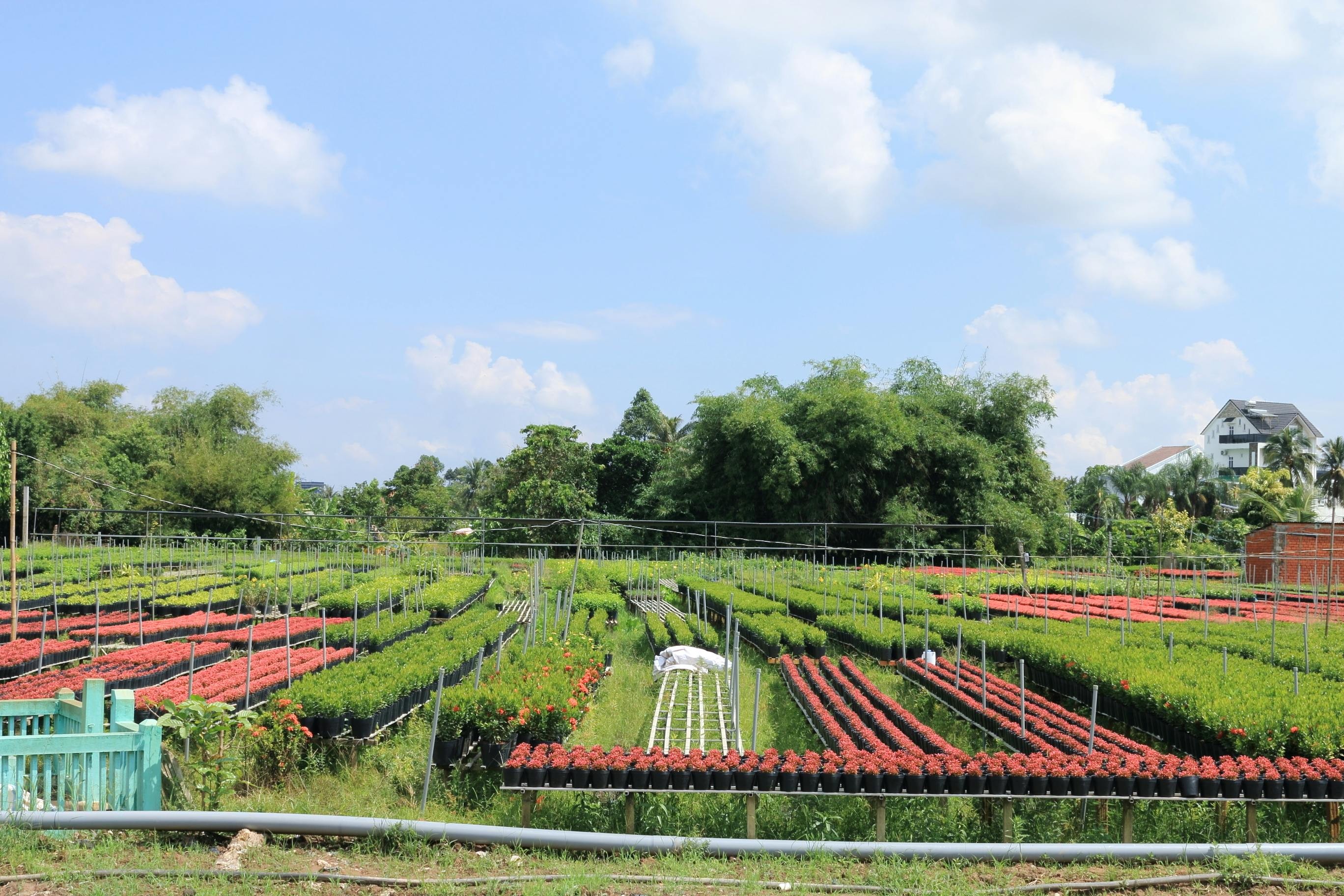 Hội Giảng_HK2 (2025-2026)_Kiều Thị Bình_Tính lợi nhuận của hoạt động sản xuất kinh doanh trong trang trại