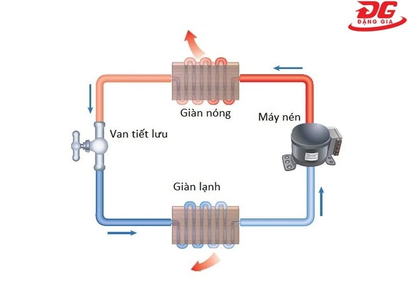 Lạnh Cơ Bản Sao chép 1