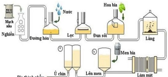 Công nghệ sản xuất bia