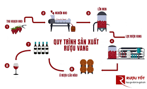 Công nghệ sản xuất rượu